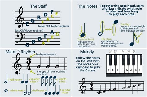 How to Read Viola Sheet Music and Why Bananas Might Be the Key to Perfect Pitch